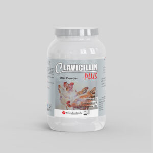 Clavicillin PLus Oral Powder - 1kg