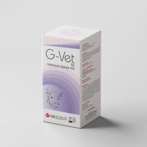 G-Vet Injection - 100ml