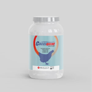 Cocciquine Oral Powder - 500gm